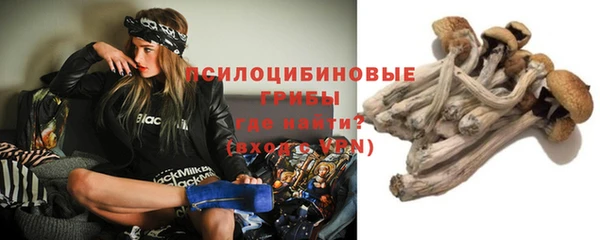 прущие грибы Покров
