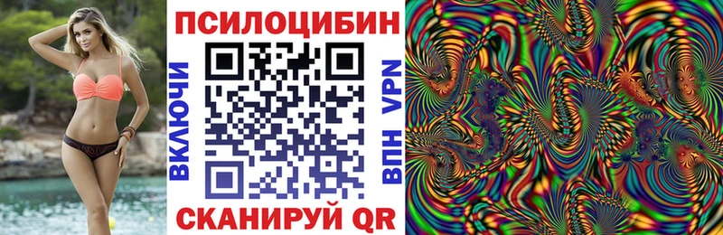 купить  сайты  Бежецк  KRAKEN сайт  Псилоцибиновые грибы GOLDEN TEACHER 